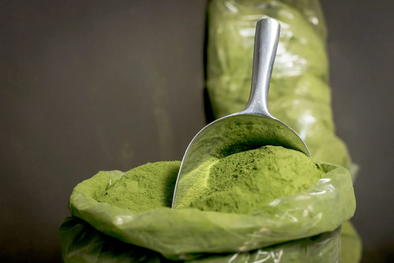 Cazo con proteína en polvo de suplementación deportiva